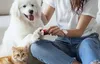 Rojeco 2000Mah Elektrische Hunde-/Katzenklauenfeile Produktbild-Vorschau 5