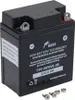 Batteria al gel Kage 6N6-3B-1, 6 V 6 Ah, polo positivo Anteprima dell’immagine prodotto 2