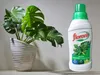 Pflanzenpflege Dünger - 0,55l - Für Monstera und andere Produktbild-Vorschau 4