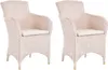 KRINES HOME 2er Set Esszimmersessel Rattan Esszimmerstuhl Produktbild-Vorschau 1