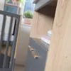 roba Babymöbel Set Anna 2-teilig - Baby- & Beistellbett 60 Produktbild-Vorschau 11