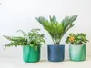 elho® Ocean Übertopf Atlantikblau Ø 14 cm aus Kunststoffen Produktbild-Vorschau 15