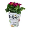 Blüten und Blätter Blumentopf mit Spruch Glück gehabt mit Produktbild-Vorschau 2
