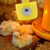 Hühnerwärmlampenlampe Effiziente Heizung sicherer Produktbild-Vorschau 4