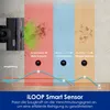 A vacuum cleaner head is shown on a surface with different levels of dirt, illustrating how the suction power adjusts. Produktbild-Vorschau