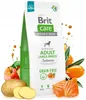 A bag of Brit Care dog food with surrounding ingredients like salmon, apples, and potatoes. Náhled obrázku produktu