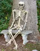 Deko Skelett 160 cm - Party & Halloween Dekoration Produktbild-Vorschau 2