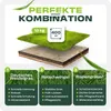 halmland Premium Schattenrasen Samen schnellkeimend 10kg = Produktbild-Vorschau 7