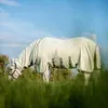 Horseware Ireland Fliegendecke Rambo Hoody XL Green/Sage, Produktbild-Vorschau 3