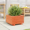 vidaXL Pflanzkübel Wachsbraun 40x40x26,5 cm Massivholz Produktbild-Vorschau 3