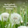 Die Stadtgärtner – Wunscherfüller I Echte Pusteblume im Produktbild-Vorschau 8