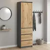 Armoire, armoire vestiaire, armoire polyvalente avec 3 Voir les images du produit 8