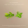 Avoury Green Tea  | MINT GUNPOWDER  |  Tee-Kapseln: Grüntee Produktbild-Vorschau 7