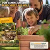 Fepro® Holz-Hochbeet 63L mit Ablage & Vlies – Blumenkasten Produktbild-Vorschau 4