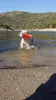 Chuckit Amphibious Bumper Small Voir les images du produit 34