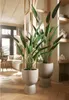 Szmaragdowa sztuczna roślina heliconia zielona 125 cm Podgląd zdjęcia produktu 5