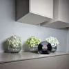 Spardose im Retro Schallplatten Design aus Keramik, bunt Produktbild-Vorschau 4