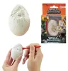 Toi-Toys - MONDO DEI DINOSAURI Set di scavi per dinosauri Anteprima dell’immagine prodotto 1