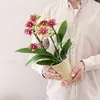 Kolibri Orchids | Orange-Gelbe Phalaenopsis-Orchidee Produktbild-Vorschau 5