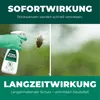 Silberkraft Stinkwanzenspray zur effektiven Produktbild-Vorschau 4