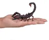Mojo Wildlife Spielzeug Kaiser Skorpion - 387133 Produktbild-Vorschau 3