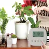Dual-Pump Bewässerungssystem Automatische mit App & Timer  Produktbild-Vorschau 9