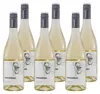 Spassvögel Cuveé Weiss -halbtrocken- (6 x 0,75L) Produktbild-Vorschau 1