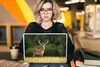MuchoWow® Laptop Aufkleber Sticker Cover Hirsch - Geweih - Produktbild-Vorschau 5
