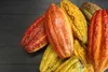 Barry Callebaut Kakaopulver alkalisiert Botanical Extra Produktbild-Vorschau 2