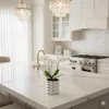 A modern, bright kitchen with a white countertop and a decorative orchid in a silver pot. Produktbild-Vorschau