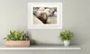 Schafe Gerahmtes Bild Mit Edlem Passepartout | Wand-Bilder Produktbild-Vorschau 2