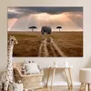 MuchoWow® Poster Elefant - Tiere - Wiese - Sonne 180x120 cm Produktbild-Vorschau 7