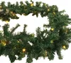 A close-up view of a green Christmas garland with small yellow lights, set against a white background. Produktbild-Vorschau