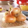 Steckzwiebeln Stuttgarter Riesen (500 gr) - Produktbild-Vorschau 2