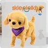 Lolex | Interaktiver Hund - mit Leine - 30 cm - Produktbild-Vorschau 10