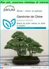 SAFLAX Garden to go - Genévrier de Chine - 30 graines - Voir les images du produit 1
