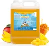 Belissia Slush Eis Sirup 5L Konzentrat | Mango Geschmack | Produktbild-Vorschau 1