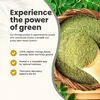 Moringa Oleifera Pulver als Nahrungsergänzungsmittel, 100 % Produktbild-Vorschau 2