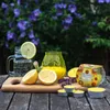 Horeca Candles 100 Bougies Citronnelle Chauffe-plat – Voir les images du produit 2