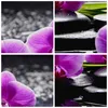 Bild auf Leinwand - Leinwandbild - Orchidee Natur Wasser Produktbild-Vorschau 8