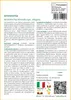 SAFLAX  - Aristolochia - 80 semi - Aristolochia Anteprima dell’immagine prodotto 3