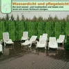 Yakimz Sichtschutzhecke Windschutz 1*3M Efeu Sichtschutz Produktbild-Vorschau 7