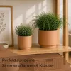 Übertöpfe in Ø 10,5 cm, Beige Blumentöpfe im 2er Set Produktbild-Vorschau 4