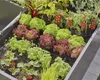 Gardena 13215-20 pièce/accessoire pour système d'irrigation Voir les images du produit 8
