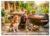 Cavalier King Charles Spaniel - Ein Jahr voller Erlebnisse Produktbild-Vorschau 8