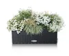 A rectangular planter filled with white and green flowers and foliage, set against a white background. Produktbild-Vorschau