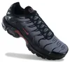 Nike Air Max Plus TN - Herren Sneakers Schuhe Grau-Schwarz Produktbild-Vorschau 1