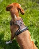 pettorina per cani lionto anti-pull, pettorina a Y Anteprima dell’immagine prodotto 3