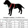 Dingo Hundegeschirre Druckfreie mit Doppelgurt-Verstellung, Produktbild-Vorschau 4