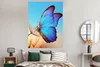 MuchoWow® Poster Schmetterling - Löwenzahn - Blau 120x160 Produktbild-Vorschau 4